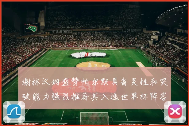 谢林汉姆盛赞帕尔默具备灵性和突破能力强烈推荐其入选世界杯阵容